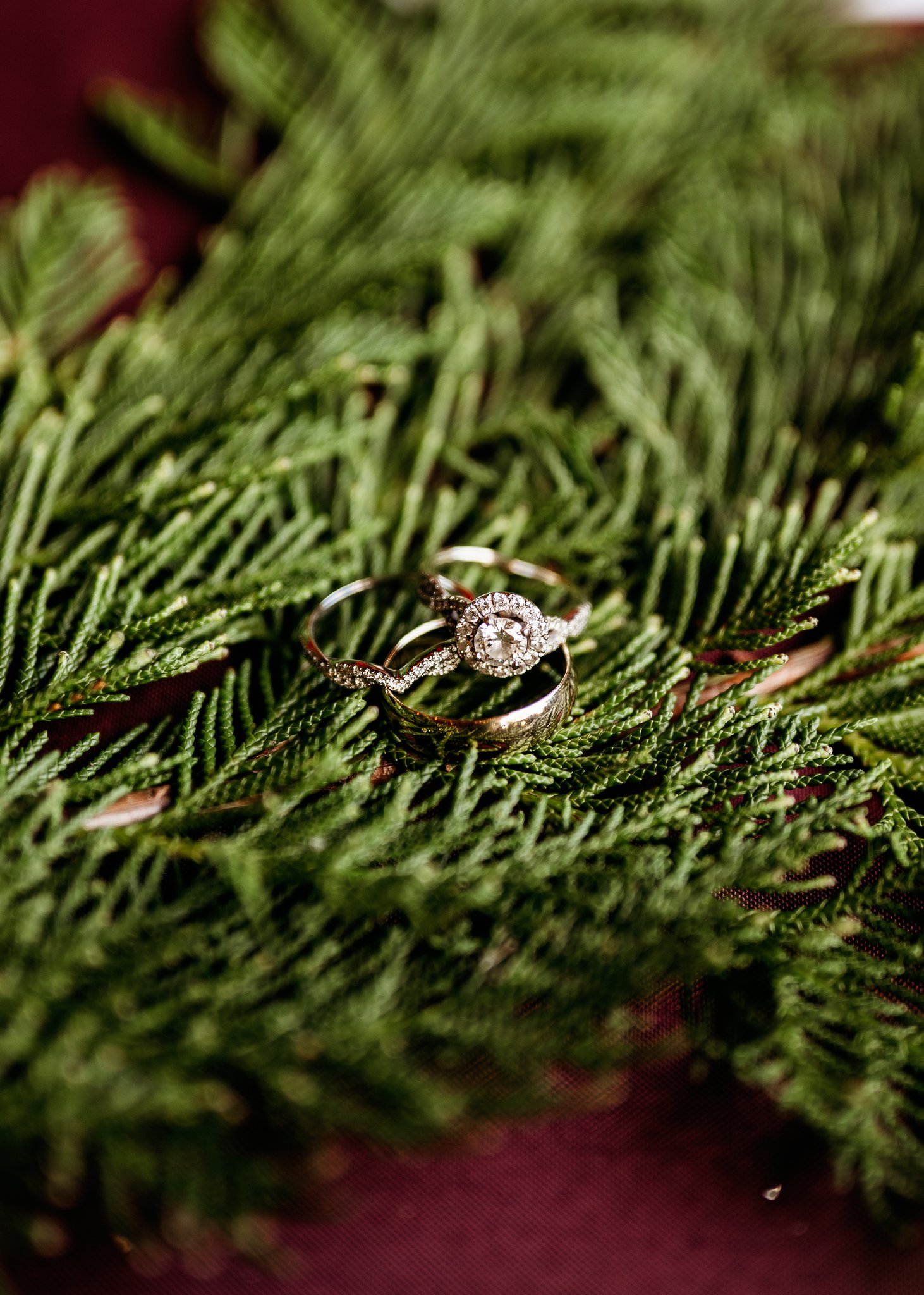 Wedding rings nestled in cedar garland